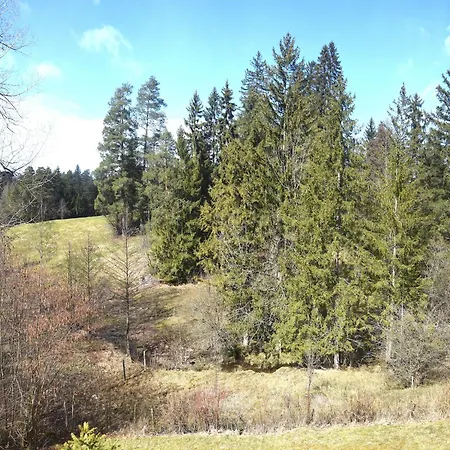Reichenbach Holiday home Nesselwang